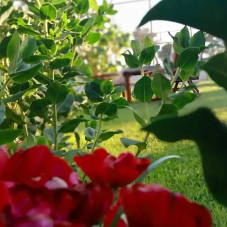 Paradise House Апарт-отель