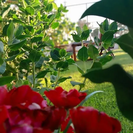 Paradise House アパートホテル 3*