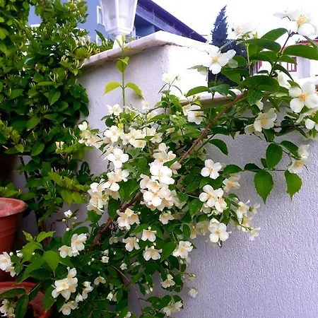 Paradise House Ξενοδοχείο με διαμερίσματα 3*