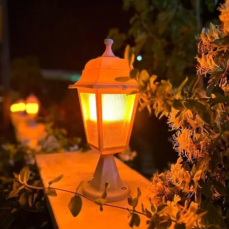 Paradise House アパートホテル パムッカレ