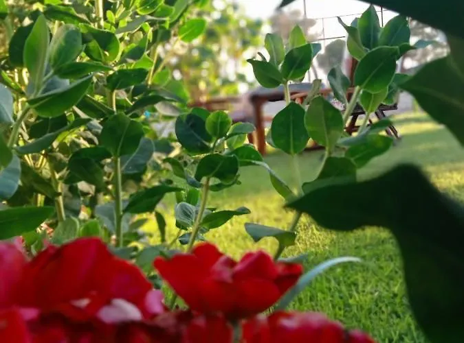 Paradise House Hotel apartamentowy 3*